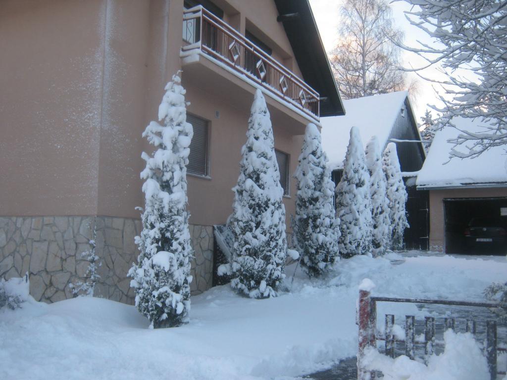 Hotel House Pribic Vrelo Koreničko Exterior foto